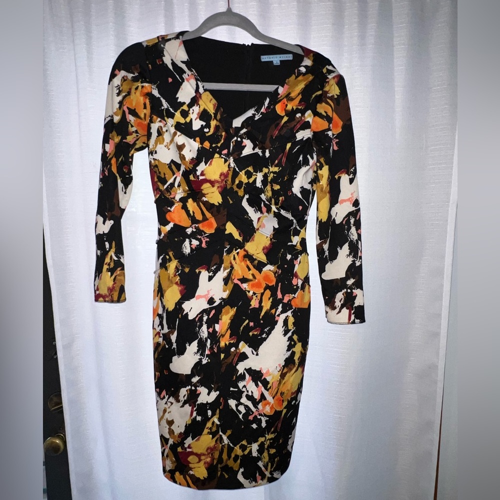 Antonio Melani Dress 2